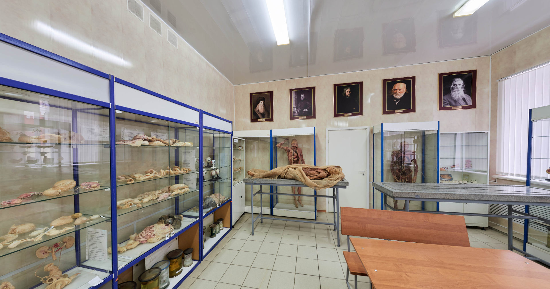 Anatomy Museum