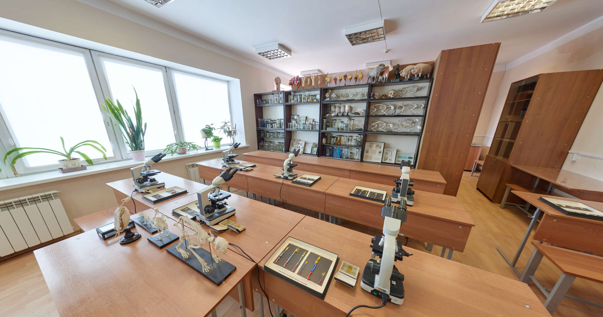Biology Lab